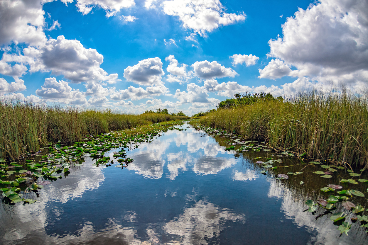 Panoramic Image of Hudson, FL